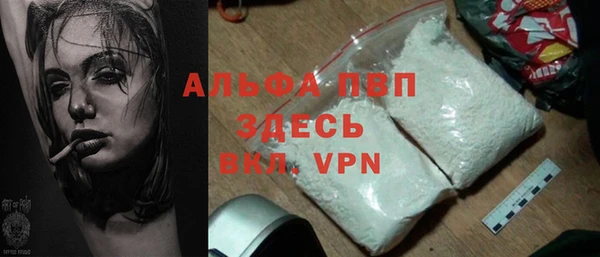 спиды Новодвинск