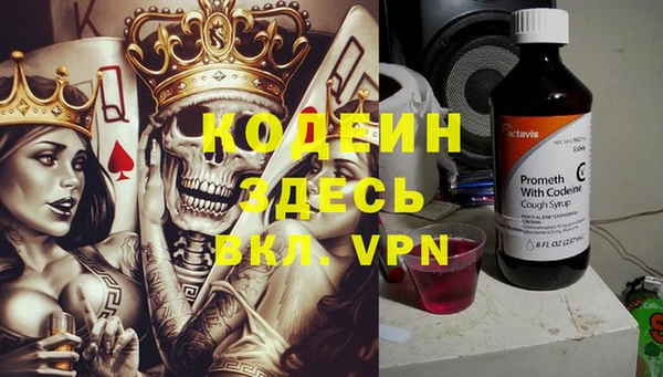 спиды Новодвинск