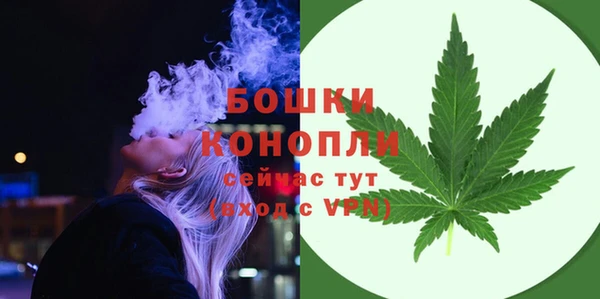спиды Новодвинск