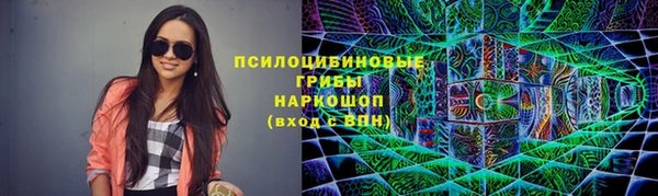 спиды Новодвинск